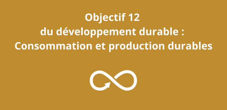 Objectif 12 du développement durable Consommation et production durables