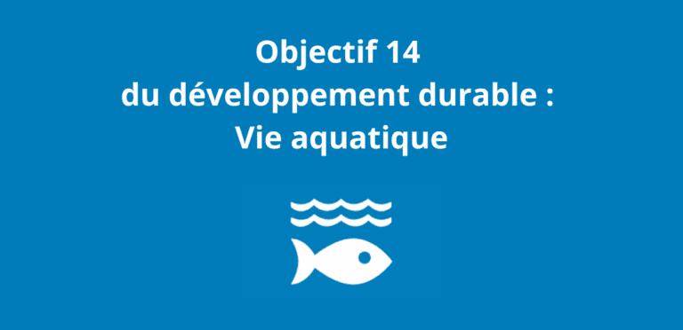 Objectif 14 du développement durable Vie aquatique