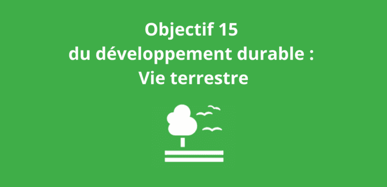Objectif 15 du développement durable Vie terrestre