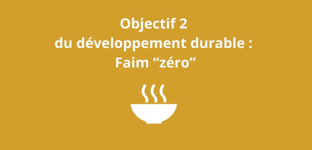 Objectif 2 du développement durable - Faim “zéro”